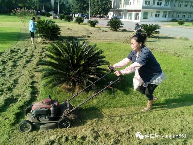 高温下绿化工的一天 红敏总装厂物业管理科的坚守与奉献